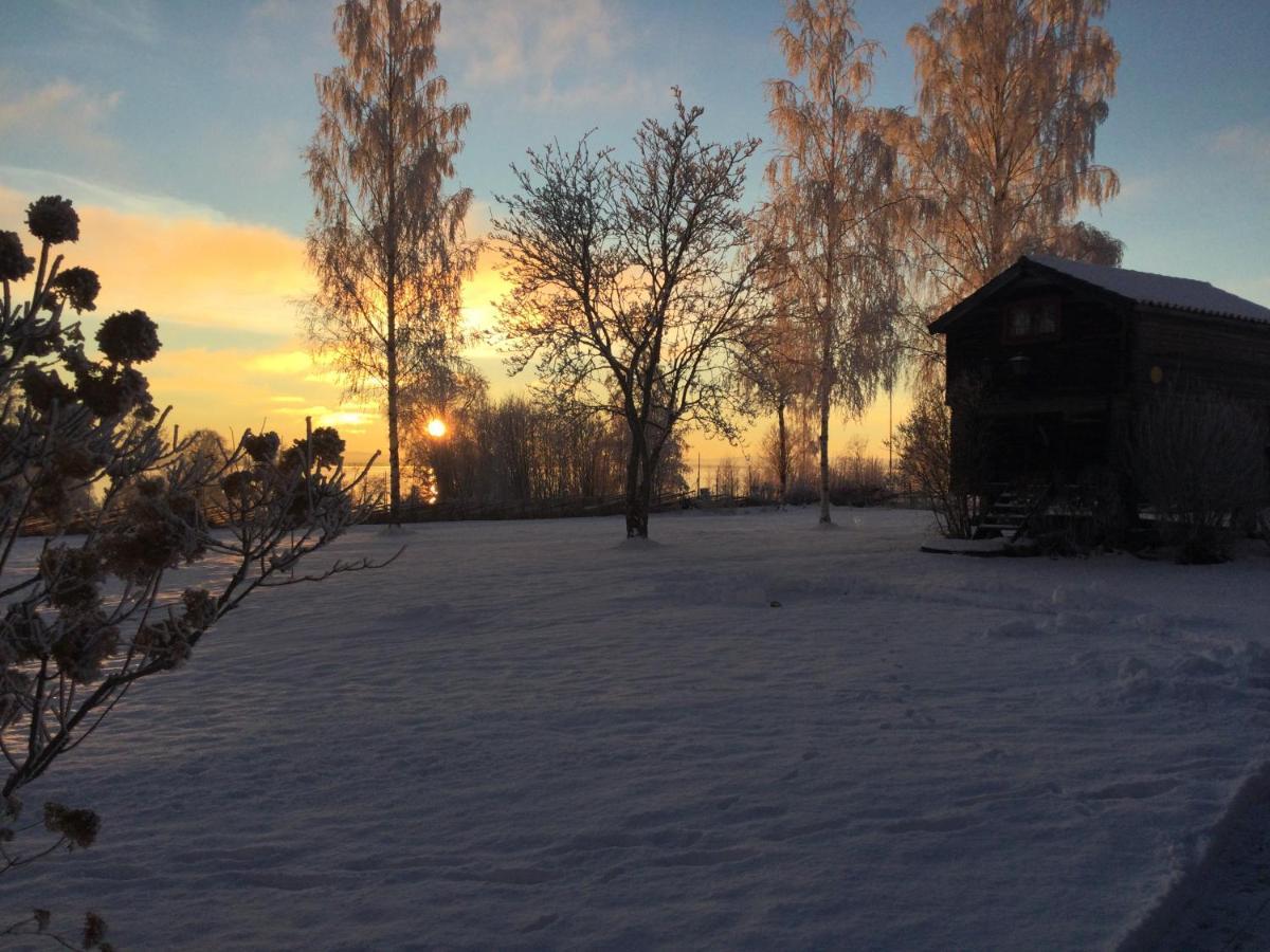 Mysigt Boende I Raettvik Med Utsikt Oever Siljan Dış mekan fotoğraf