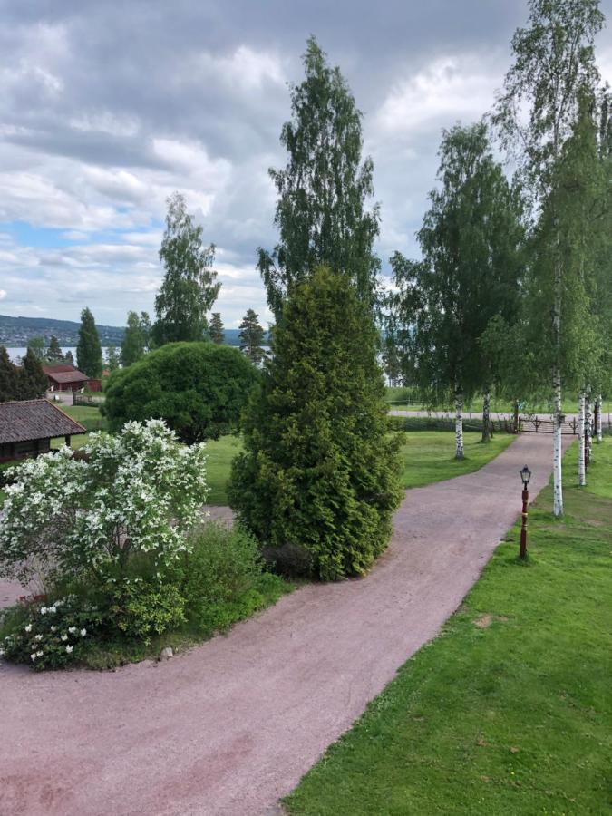 Mysigt Boende I Raettvik Med Utsikt Oever Siljan Dış mekan fotoğraf