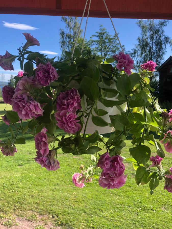 Mysigt Boende I Raettvik Med Utsikt Oever Siljan Dış mekan fotoğraf