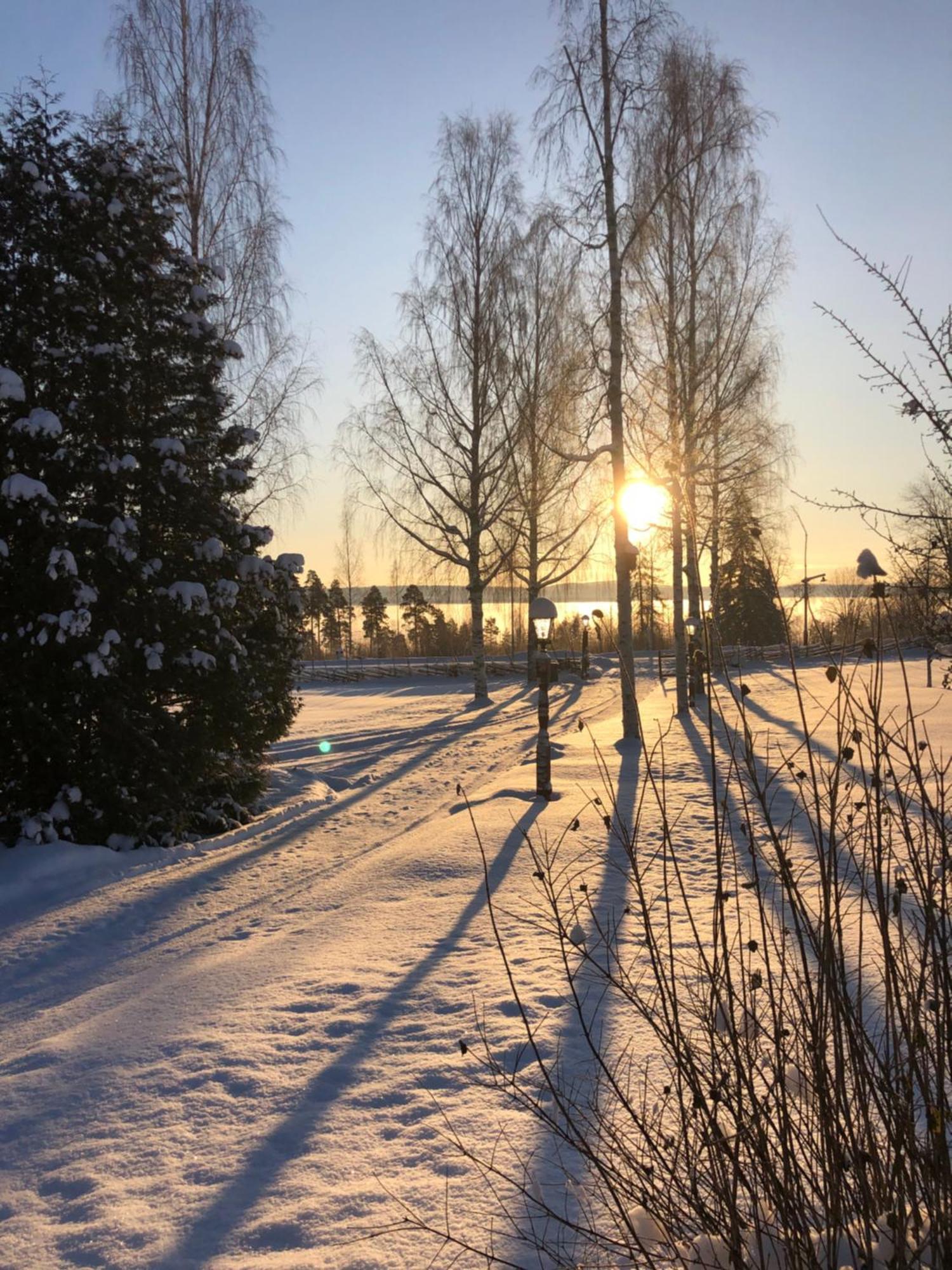 Mysigt Boende I Raettvik Med Utsikt Oever Siljan Dış mekan fotoğraf
