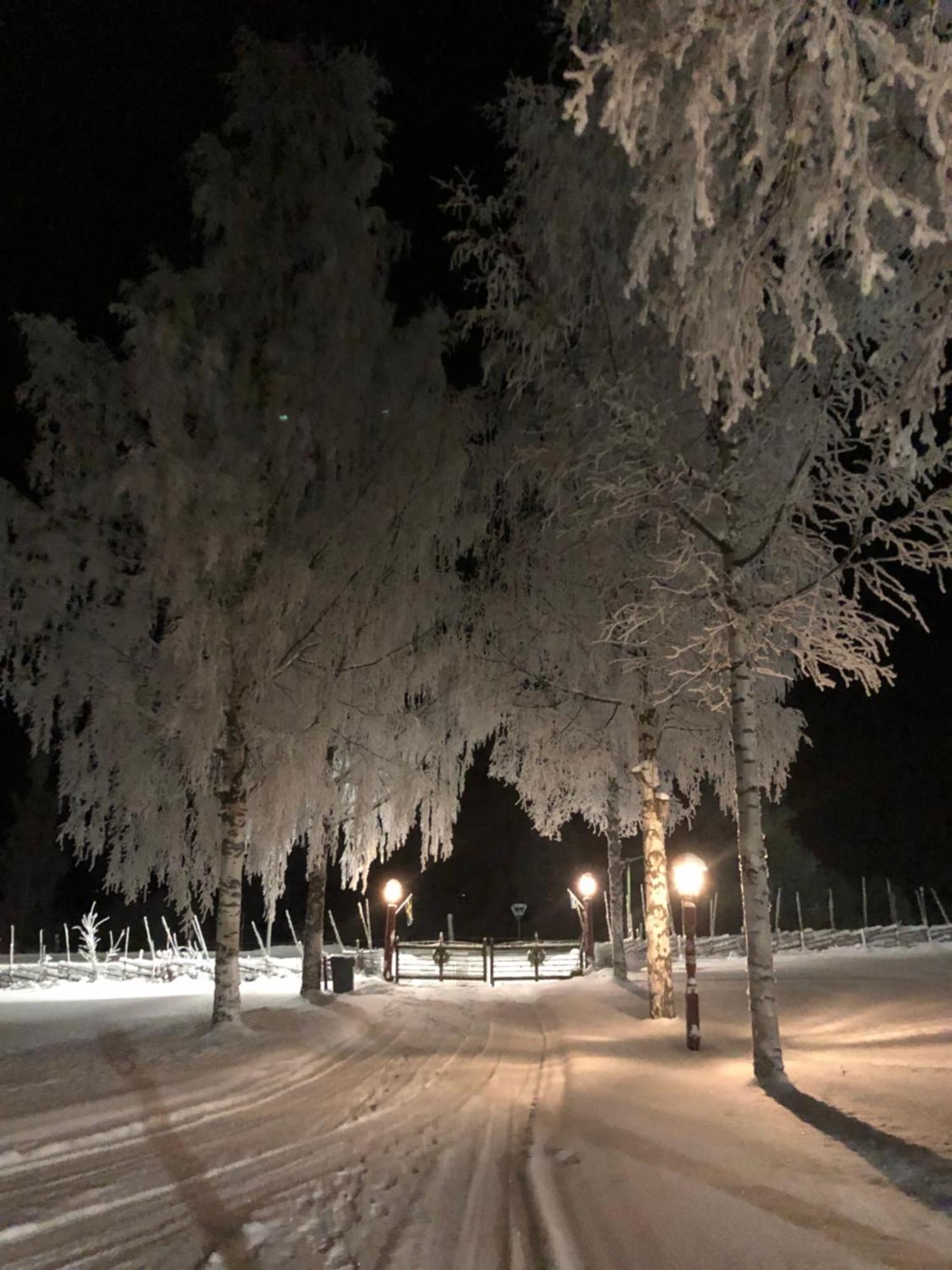 Mysigt Boende I Raettvik Med Utsikt Oever Siljan Dış mekan fotoğraf