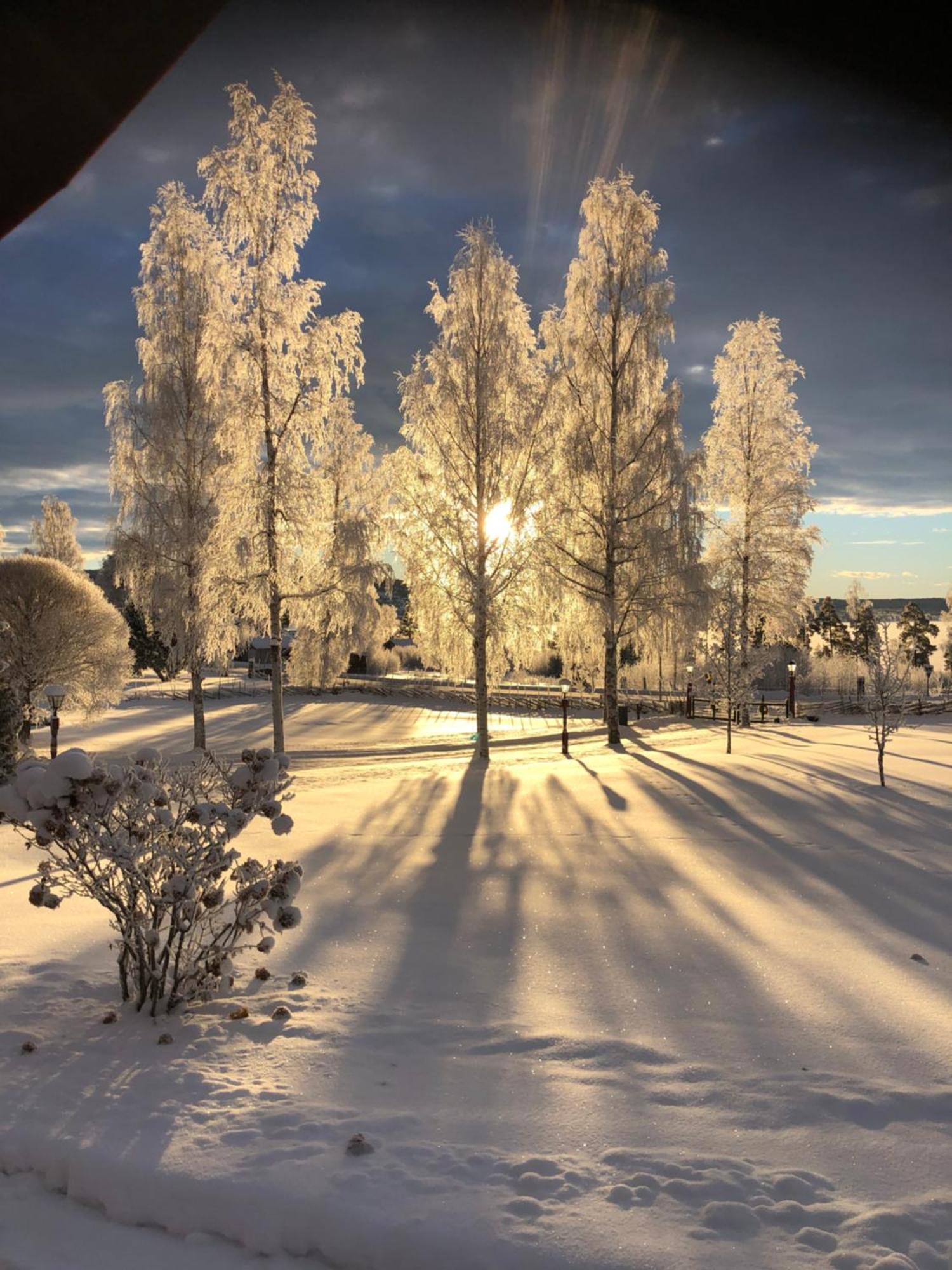 Mysigt Boende I Raettvik Med Utsikt Oever Siljan Dış mekan fotoğraf