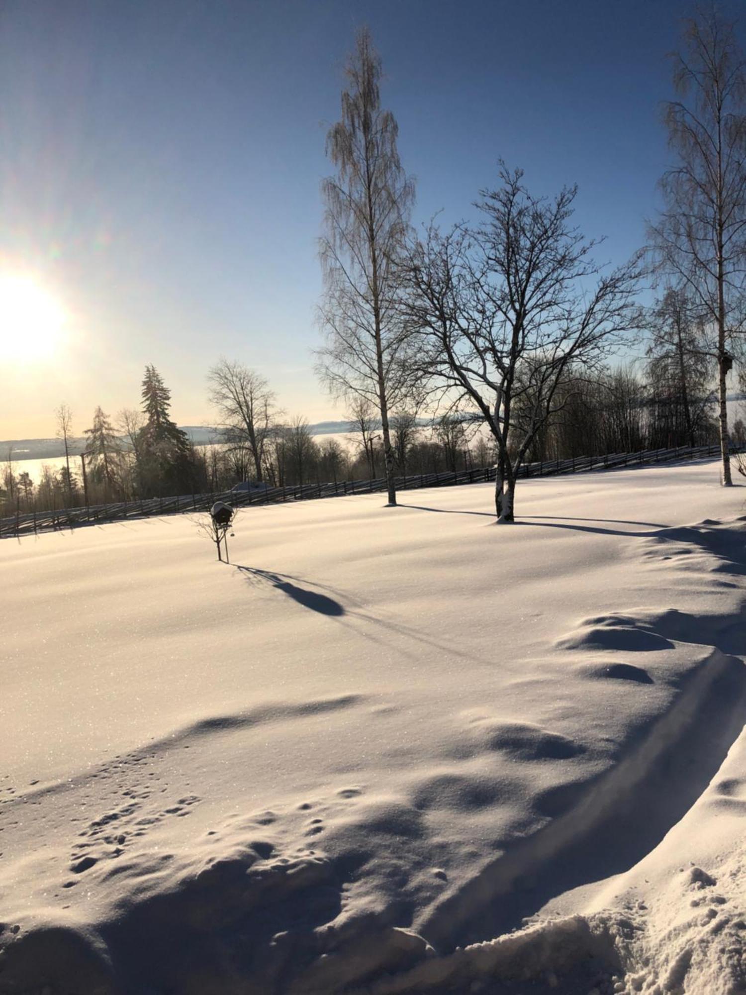 Mysigt Boende I Raettvik Med Utsikt Oever Siljan Dış mekan fotoğraf